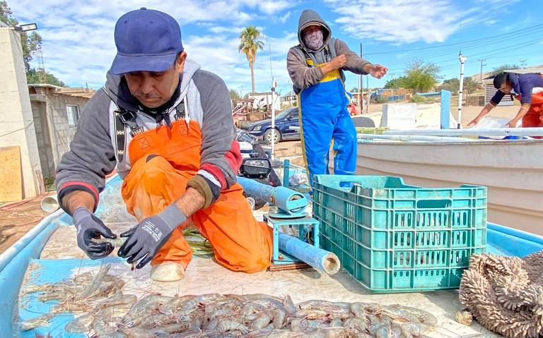 Aumentan las ventas de artículos de pesca - El Sudcaliforniano